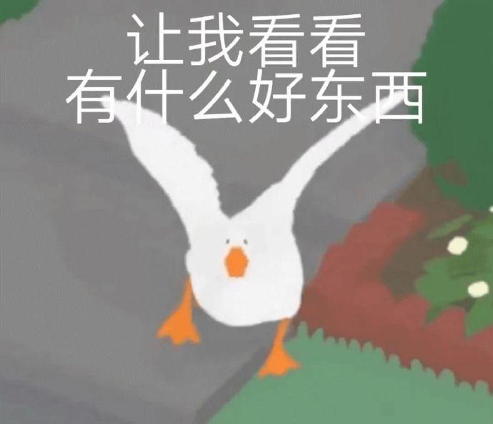 网红大白鸭表情包图片