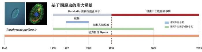 科研贡献 (颜色条长度可反映时间长度)很多文章都称赞allis的科研品味