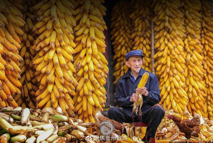 农村场景拍摄图片