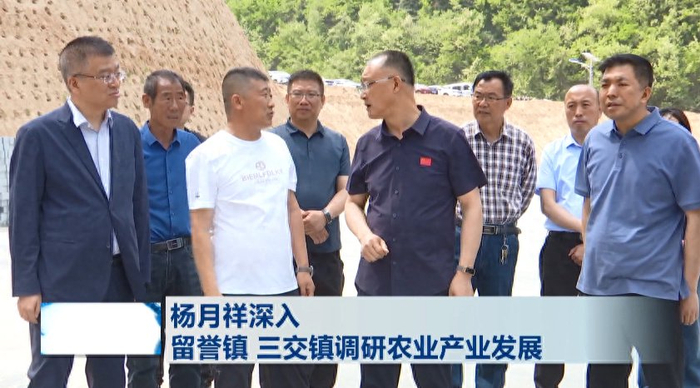 柳林:杨月祥深入留誉镇 三交镇调研农业产业发展