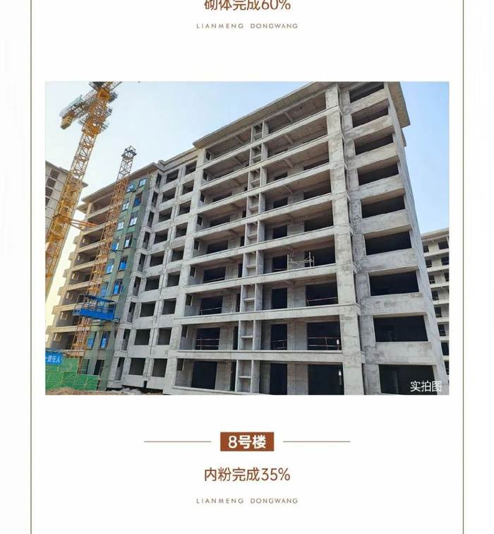 柘城建业联盟东望1月工程播报 丨辞旧迎新 家书传情