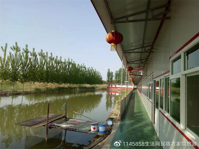 保定新闻吧:城市脉搏的跳动