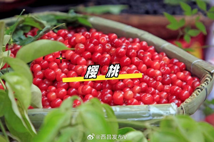 开炫!来西昌,就要这样吃