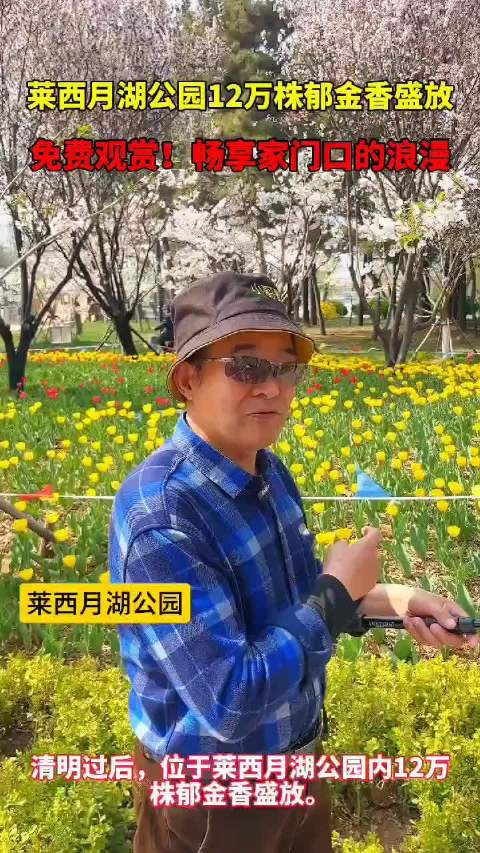 果然视频丨家门口的浪漫莱西月湖公园12万株郁金香盛放