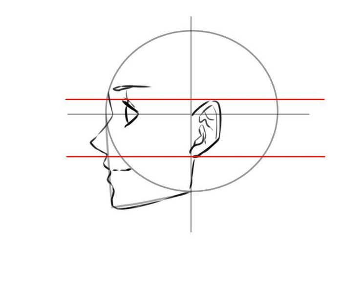 如何画男性头部轮廓?教你画出好看头部的诀窍!