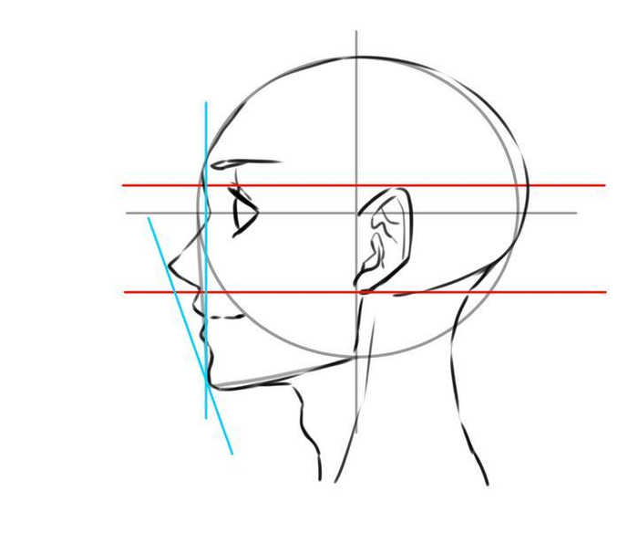 如何画男性头部轮廓?教你画出好看头部的诀窍!
