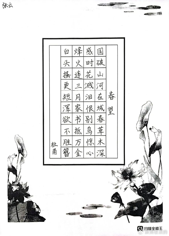 横竖撇捺书师魂,妙笔生花见芳华丨星浦小学青苗教师硬笔书法展示