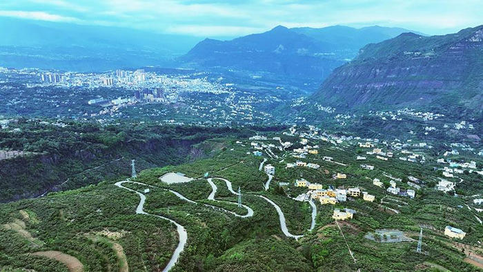 云南永善:枇杷飘香 助农增收|永善县|永善|挂果_新浪新闻