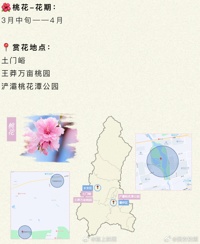 春至长安西安各地即将上演花海名场面