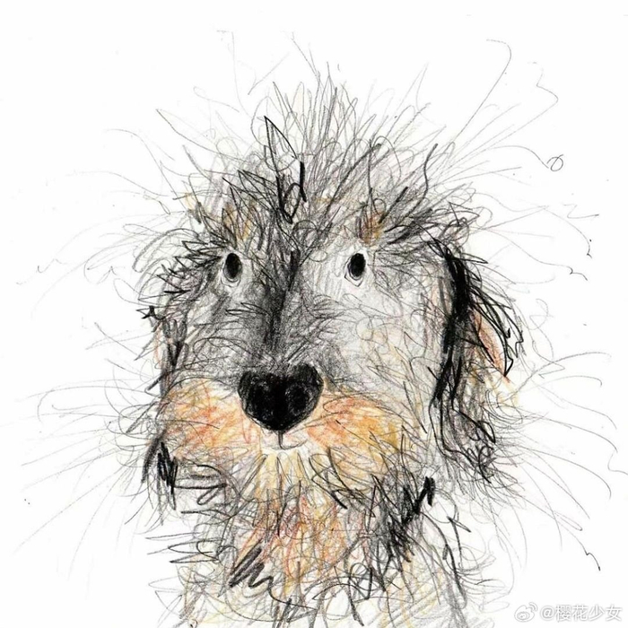 catherine rayner用潦草随意的线条用疏密组成的各种品种的炸毛小狗狗