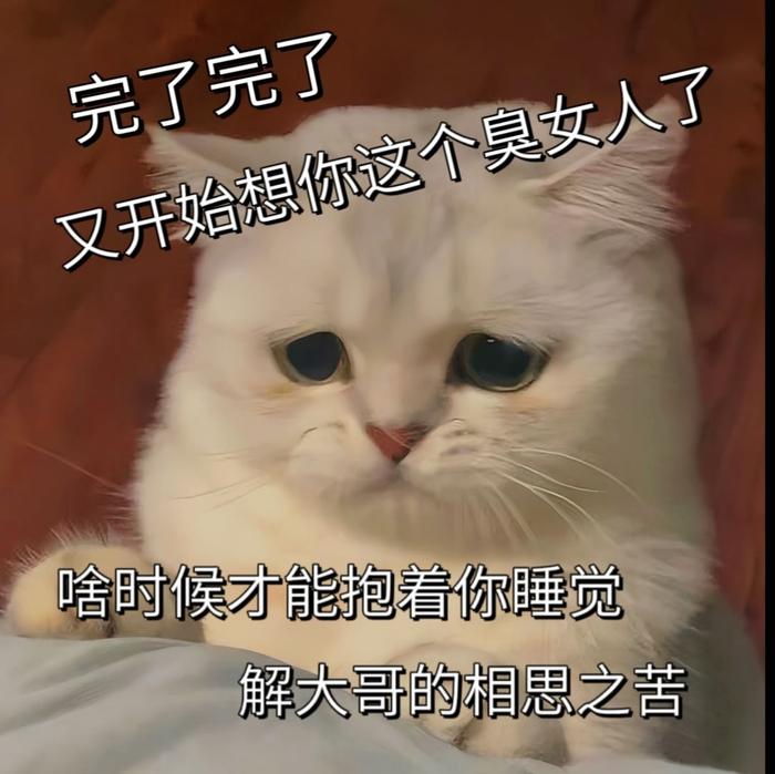 丰富一下你的表情包