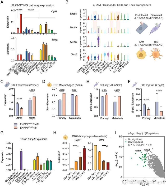 pnas華人科學家發現調控乳腺癌免疫應答及遠處轉移的固有免疫檢查點