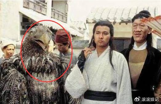 六版《神雕侠侣》的雕兄,图一搞笑,图三变秃鹫,图六是真人扮演