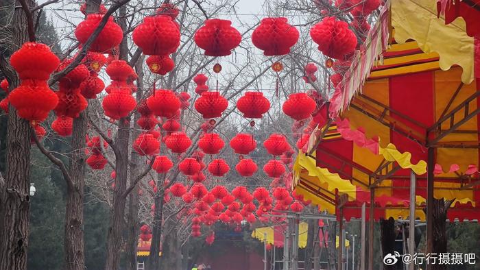 北京春节公园免费景点图片