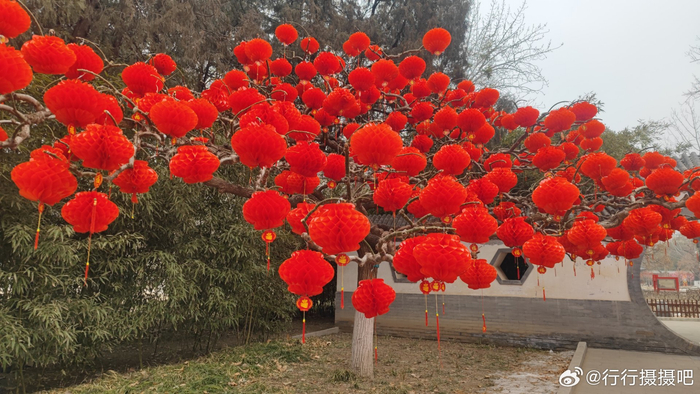 北京地坛公园春节庙会开启年味氛围回来了摄影