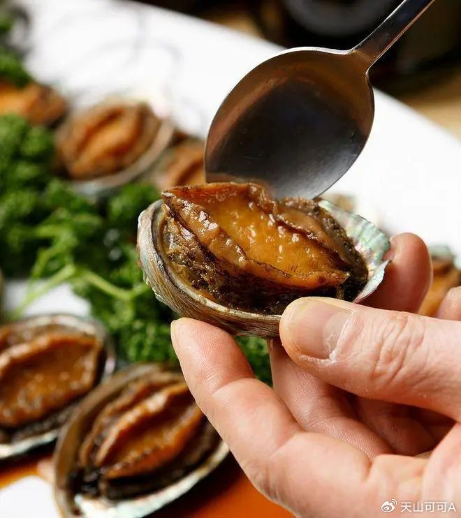 鲍鱼|功效|营养_新浪新闻