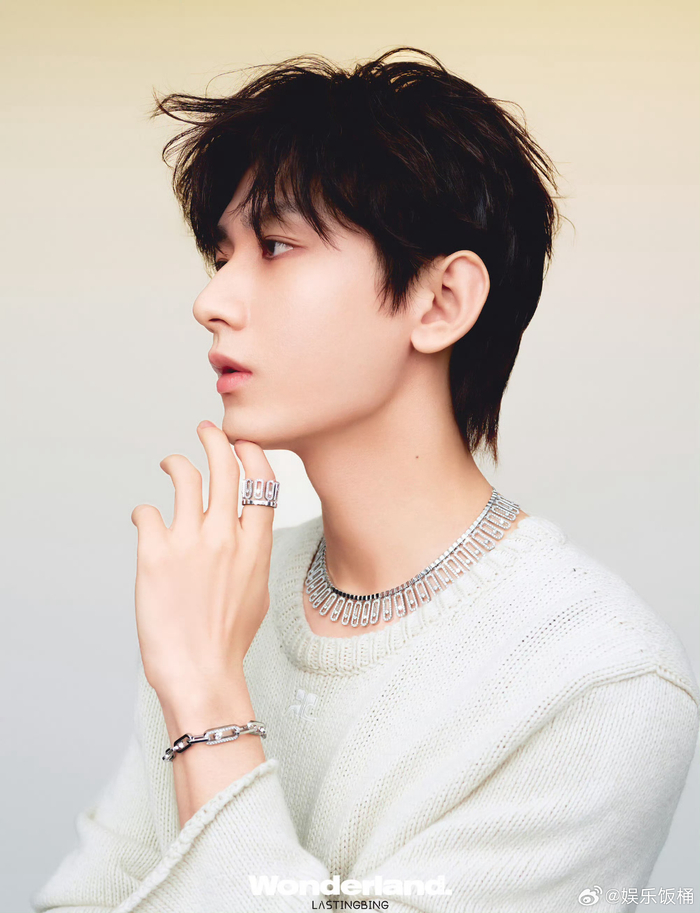 成毅的手指好好看