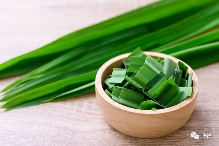 千万别吃带糯米的斑斓甜品,血亏!|叶兰|香露|植物|露兜树|东南亚_新浪新闻