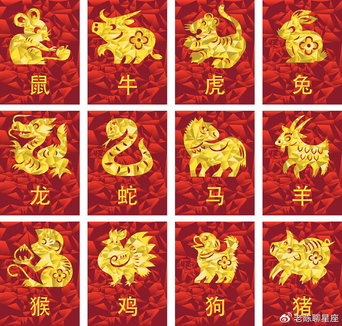 有哪些是虎年生肖的运势(虎年哪几个生肖财运好)