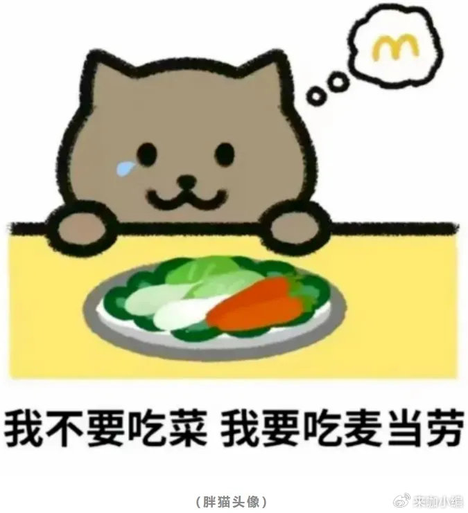 21岁纯爱战神"胖猫"事件后续,魔幻照进现实|外卖|猫|网恋_新浪新闻