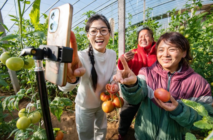 北京新茶嫩茶wx如何避坑？3大费用陷阱+全流程指南