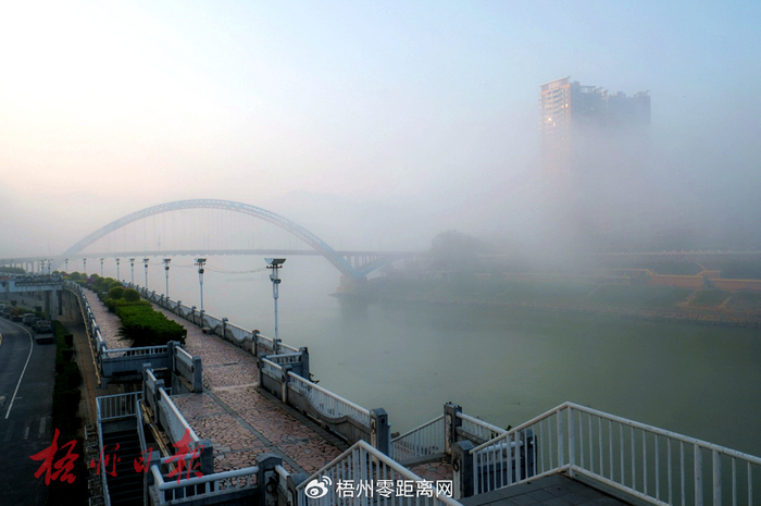 近期大雾天气梧州发动隐身技能朦胧美如仙境