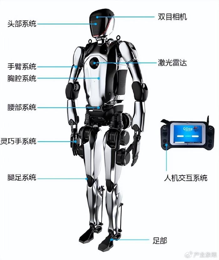 女性机器人内部构造图片