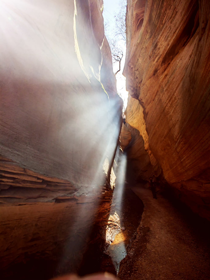初春时节在陕西甘泉大峡谷漏入峡谷的阳光在波纹样的石壁上