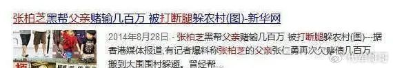 蔡少芬|毛晓彤|赌债_新浪新闻