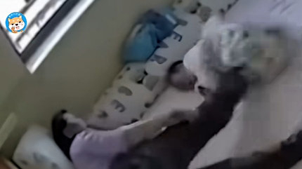 保姆多次暴力捶打、猛踹婴儿！脱胎58同城的天鹅到家成恶魔到家？