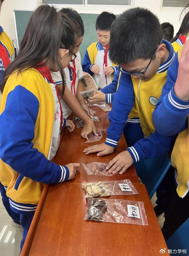 中医药文化走进北京市顺义区沿河中心小学校|顺义区|沿河|小学校_新浪