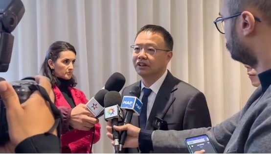 贝特瑞董事长贺雪琴:加强全球供应链建设 贡献低碳发展的中国力量|三