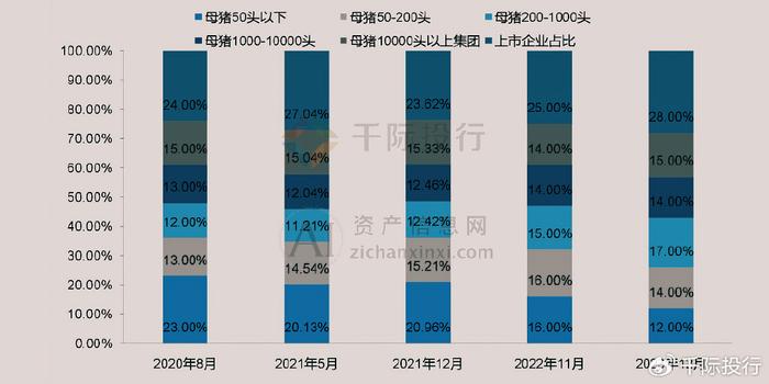 2024年中国生猪养殖行业研究报告