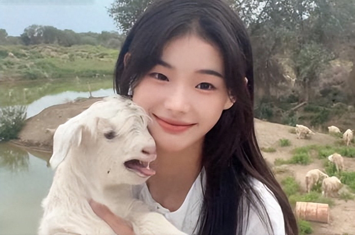 李子柒|乡村|越南_新浪新闻