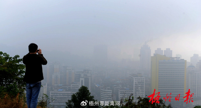 近期大雾天气梧州发动隐身技能朦胧美如仙境