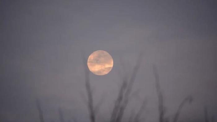 每日好诗｜耿兵：天空举着浩大的虚无