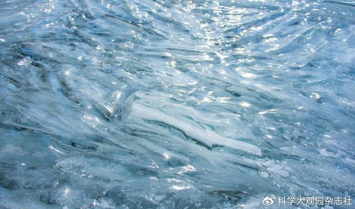 黃河入海流,每天被衝入大海的淡水魚最終去哪了?|淡水