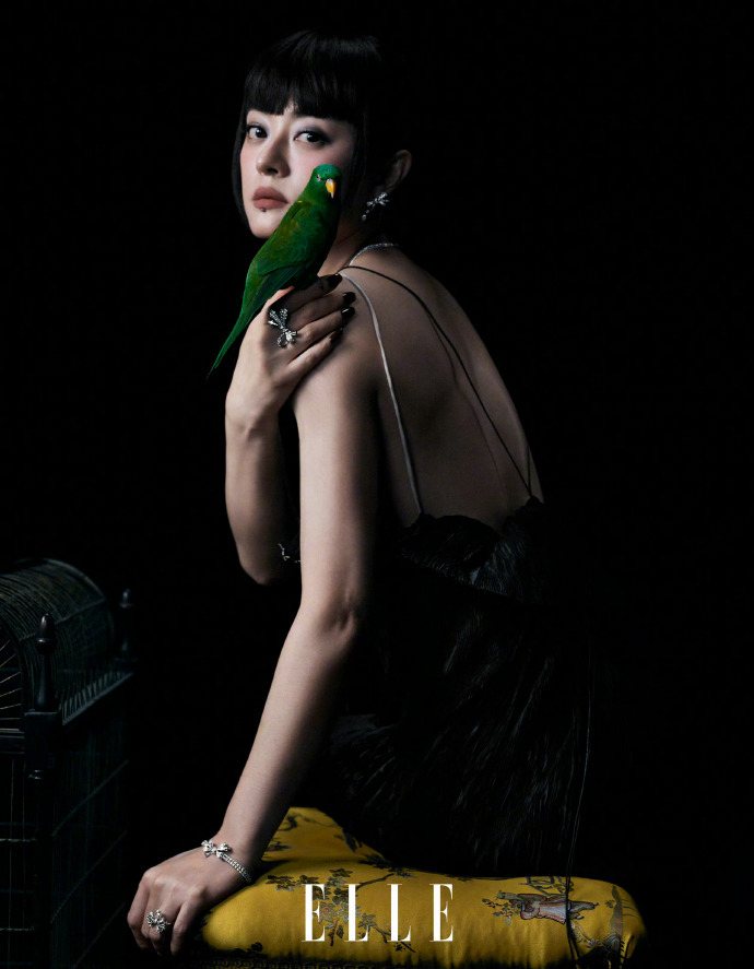 孙俪 elle 二月刊封面人物
