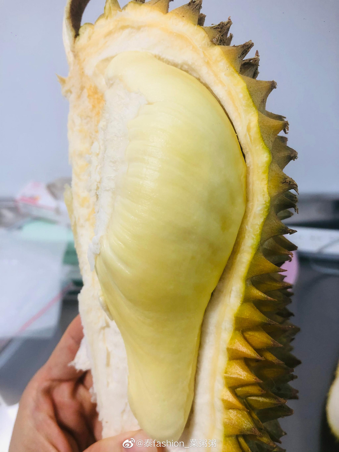 泰国东部榴莲 为什么大家都说泰国东部榴莲会比较好吃呢