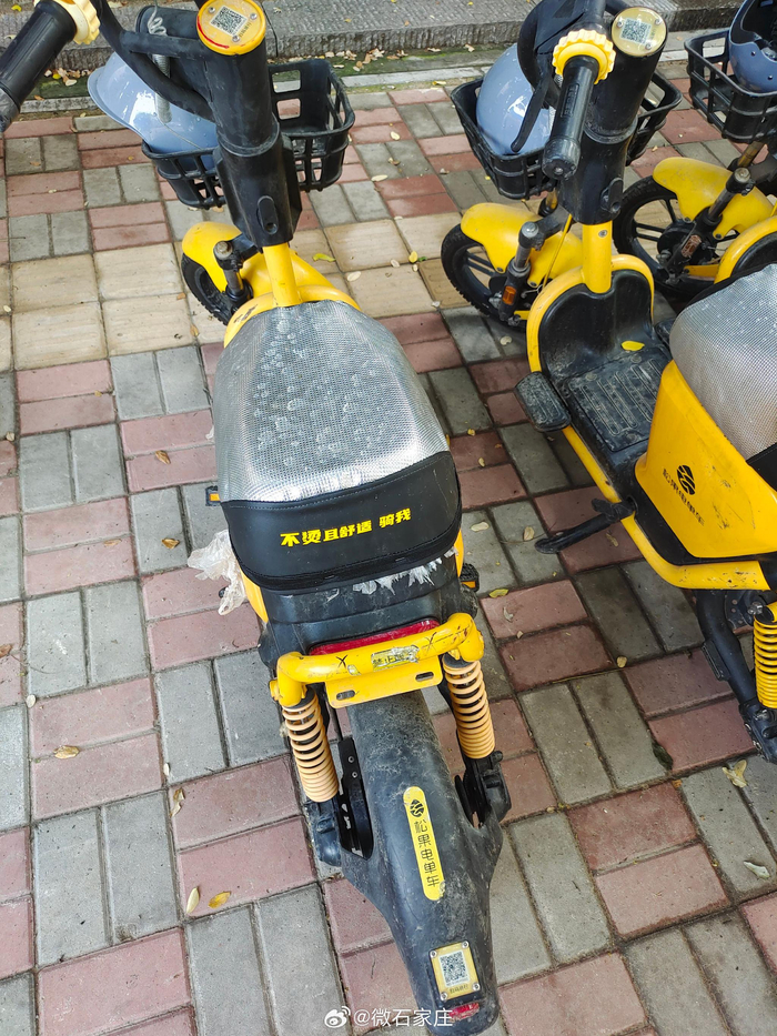 好久没骑过共享车了这松果电单车美团改的
