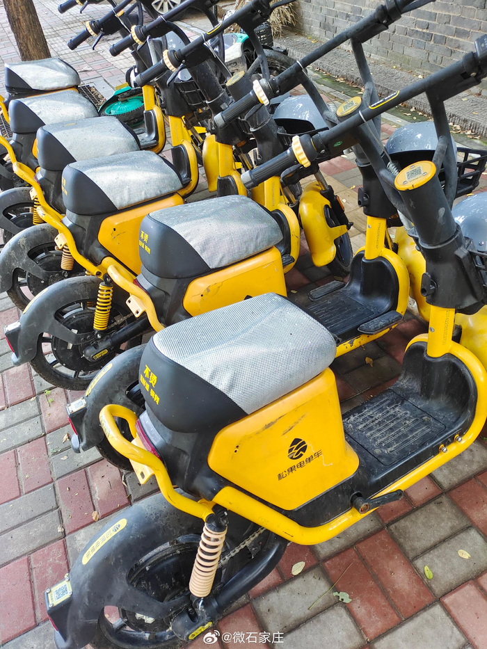 好久没骑过共享车了这松果电单车美团改的