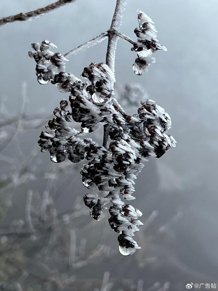 雪伴随忧愁散落一地雪化了那心中的羁绊呢