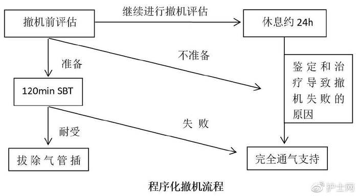 呼吸机怎么准备呼吸机撤机流程全解析!_新闻资讯_第3张_活检穿刺产品网 呼吸机怎么准备呼吸机撤机流程全解析!_https://www.jmylbn.com_新闻资讯_第3张