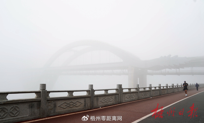 近期大雾天气梧州发动隐身技能朦胧美如仙境
