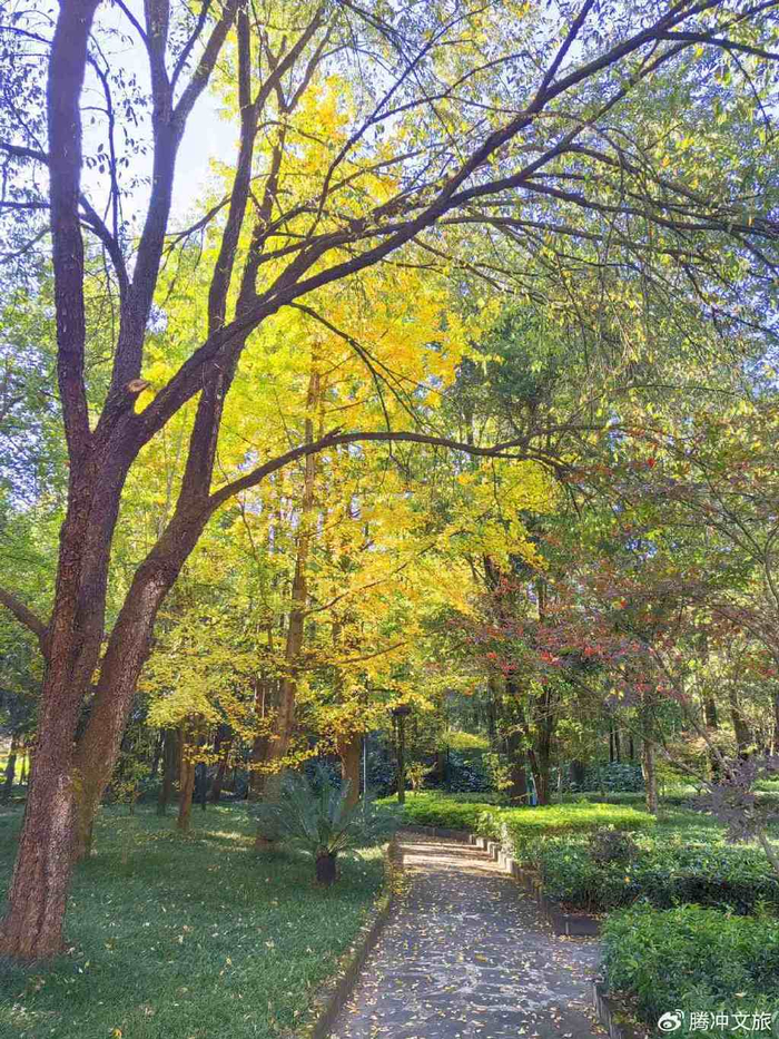 腾冲市高黎贡山植物园里的迷人色彩
