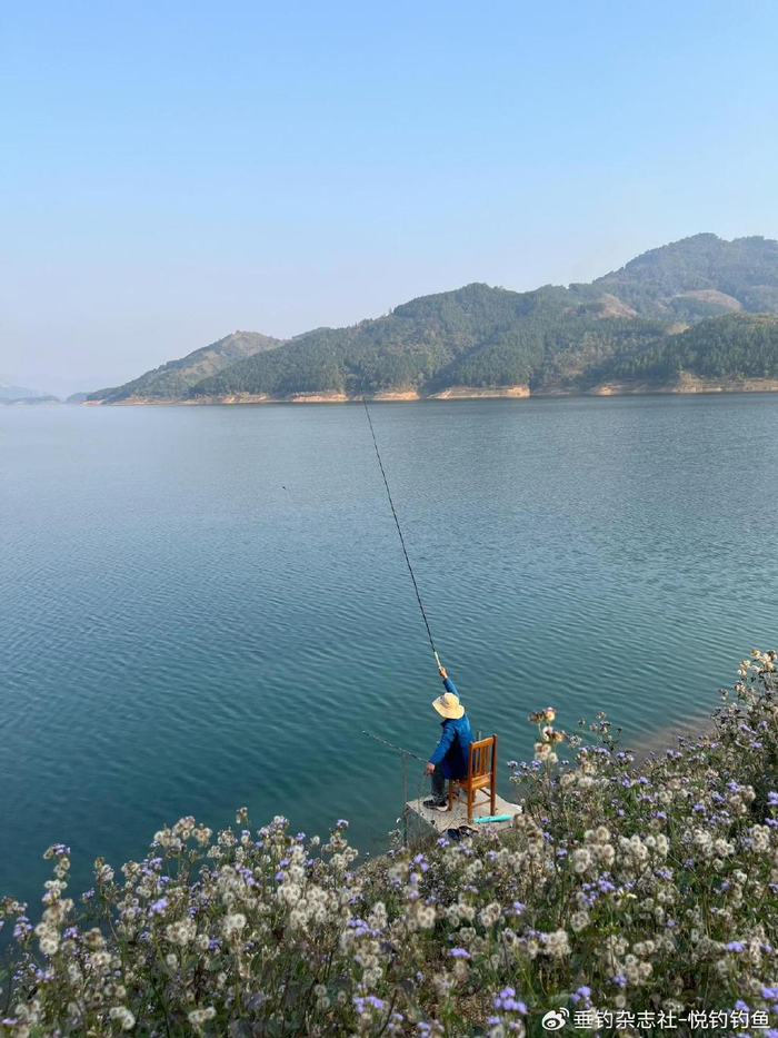 "朝圣"万峰湖——钓鱼,一定要设一个目标吗|半岛|万峰湖|手竿_新浪
