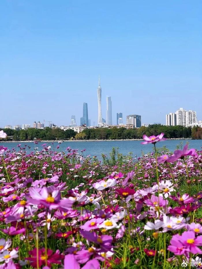 广州花海景点图片