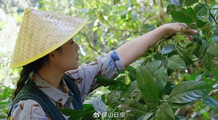 "兴保人才奖"获得者董梅华:让保山走出云南 让世界认识家乡|土特产