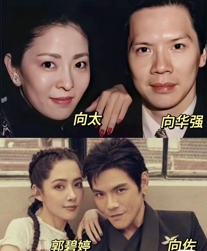 向佐的老婆 年龄图片