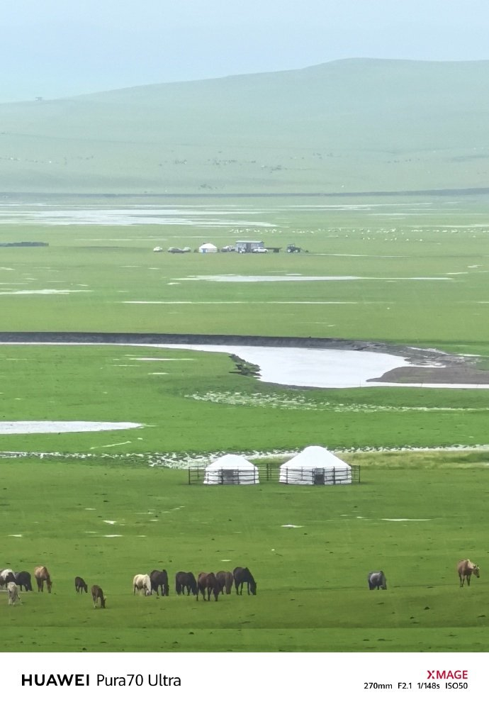 呼伦贝尔大草原这片广阔无垠的绿色海洋,总是让人心生向往